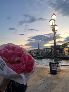 Flowers & Skyline Venice