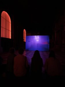 Janis Rafa's video installation in the group show "Canicula".